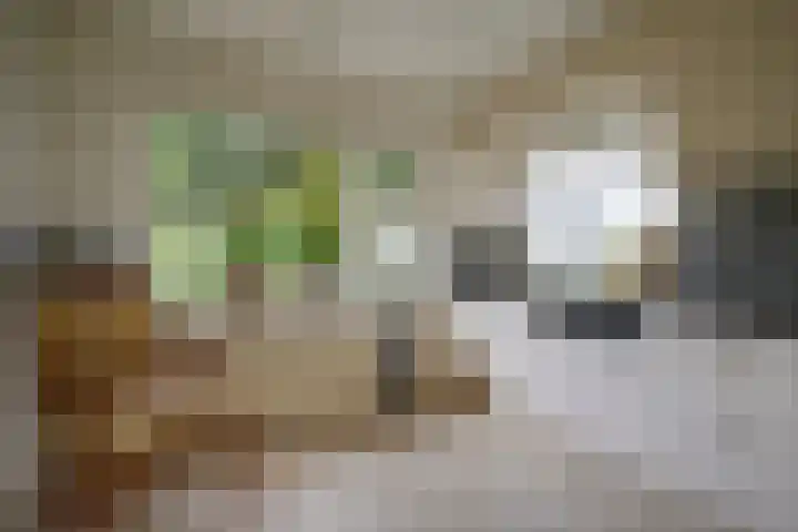 Vijverlaan 7 Scherpenzeel thumbnail 20