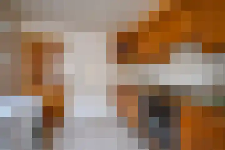 Vijverlaan 7 Scherpenzeel thumbnail 21