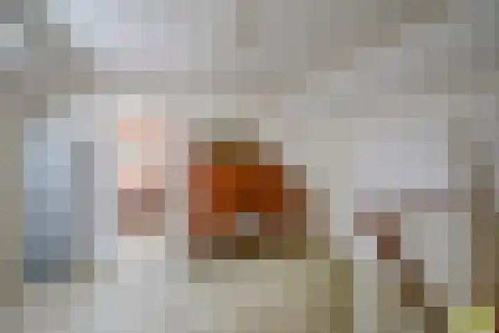 Vijverlaan 7 Scherpenzeel thumbnail 23