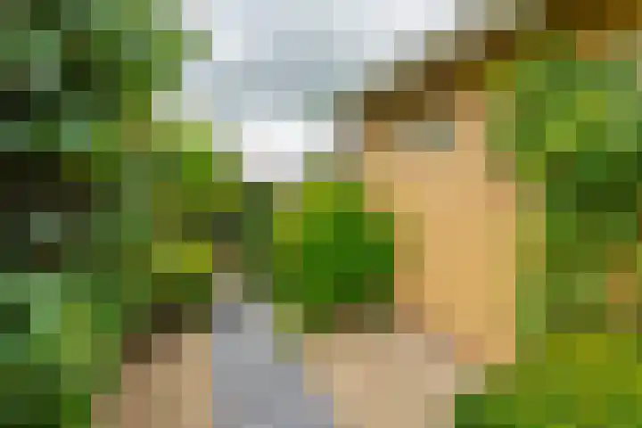 Vijverlaan 7 Scherpenzeel thumbnail 26