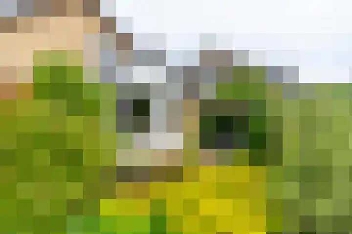 Vijverlaan 7 Scherpenzeel thumbnail 28