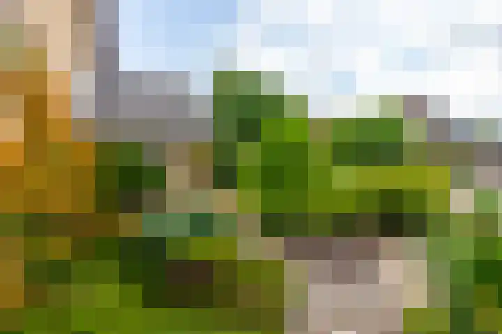 Vijverlaan 7 Scherpenzeel thumbnail 29