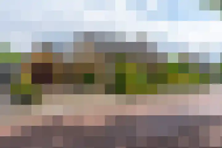 Vijverlaan 7 Scherpenzeel foto 3