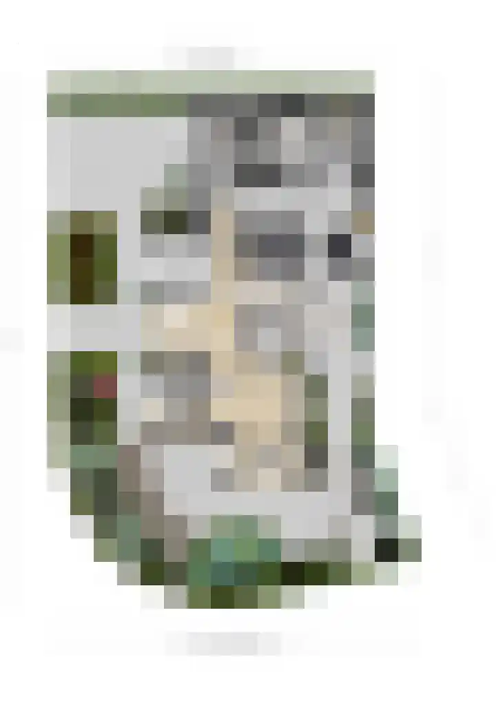 Vijverlaan 7 Scherpenzeel thumbnail 32