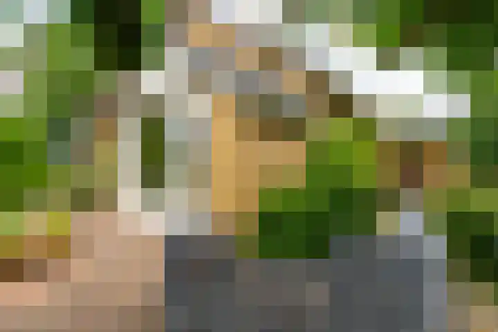 Vijverlaan 7 Scherpenzeel thumbnail 7