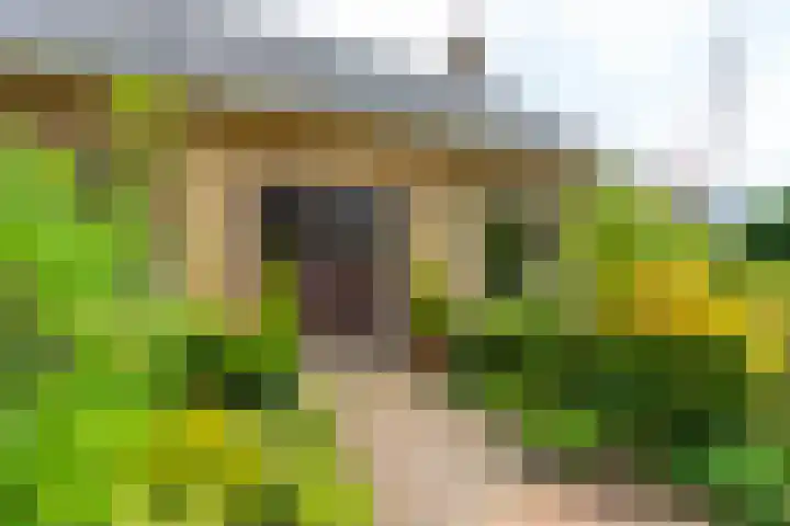 Vijverlaan 7 Scherpenzeel thumbnail 9