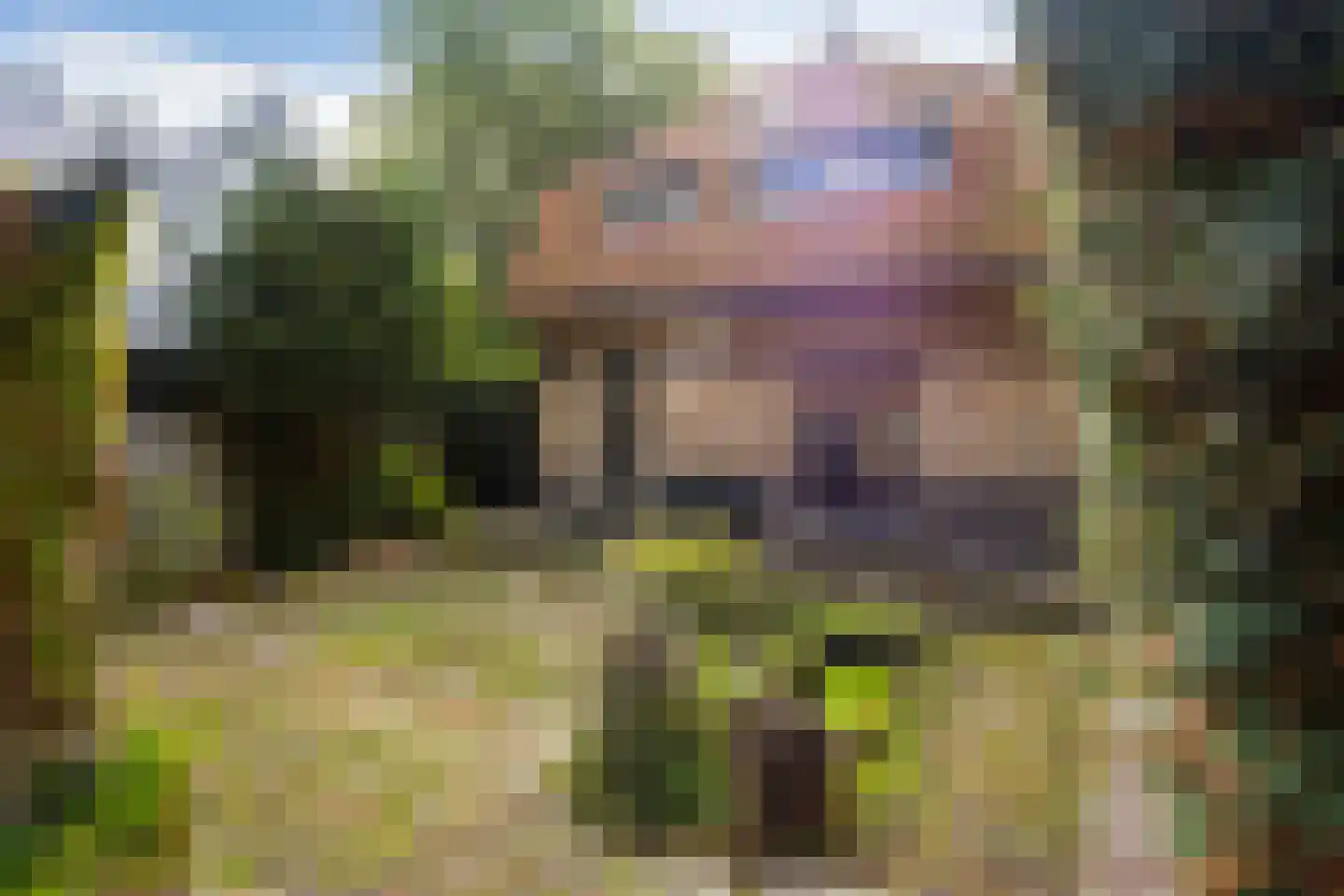Vijverlaan 8 Bergen (NH) thumbnail 23