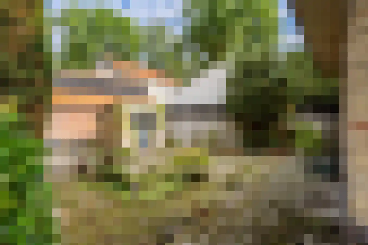 Vijverlaan 8 Bergen (NH) thumbnail 24