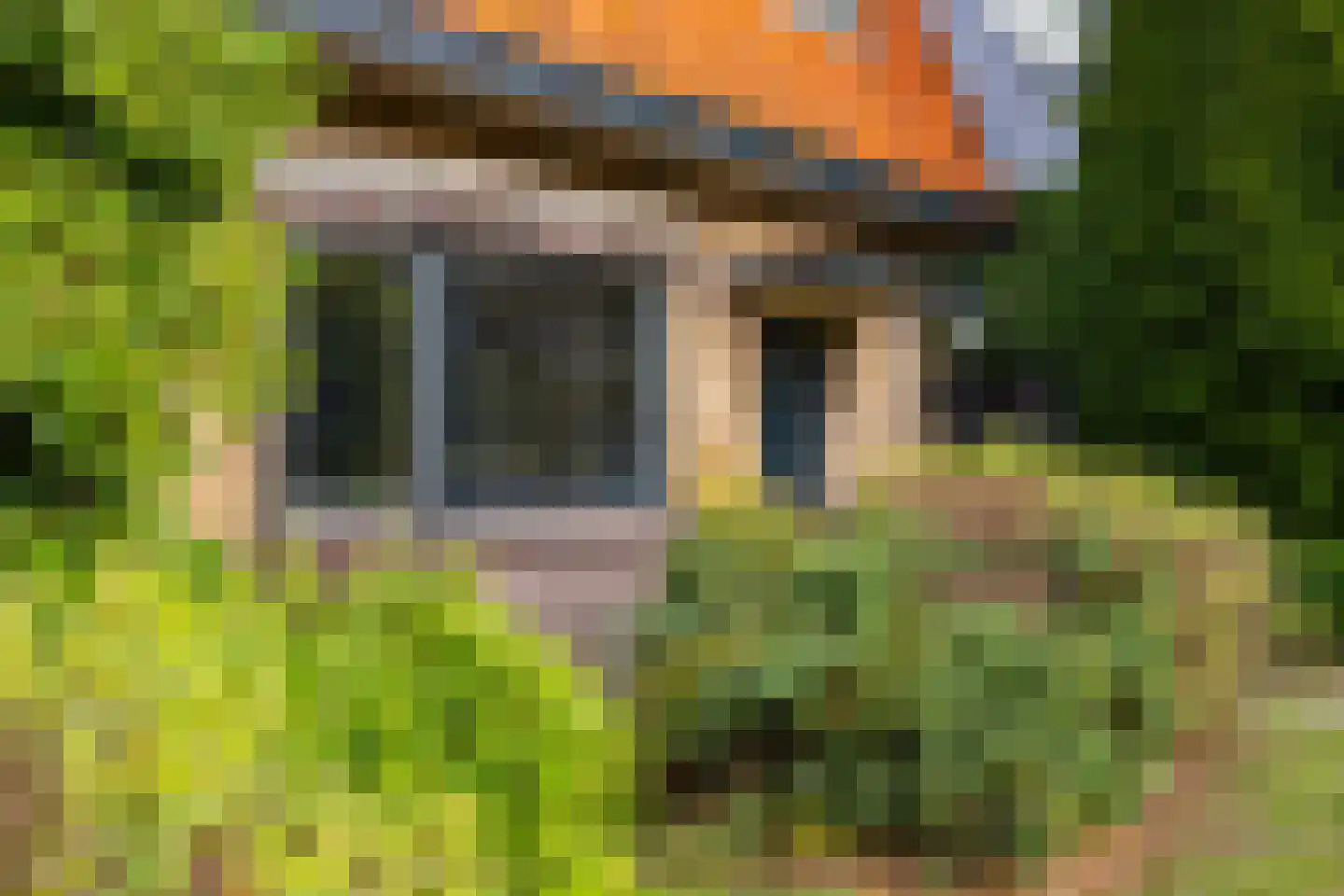 Vijverlaan 8 Bergen (NH) thumbnail 27