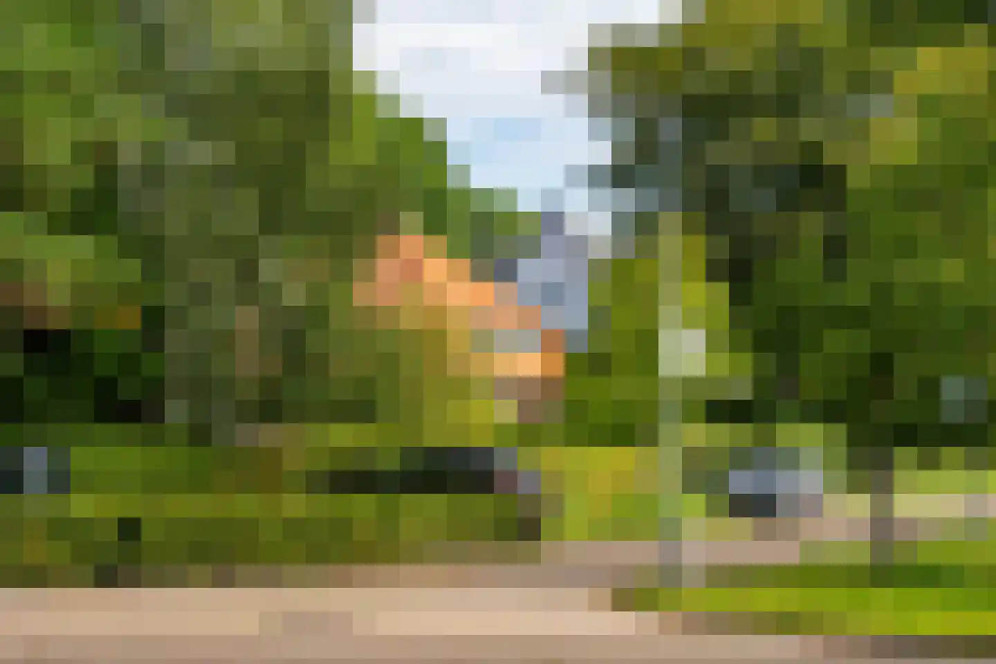 Vijverlaan 8 Bergen (NH) thumbnail 30