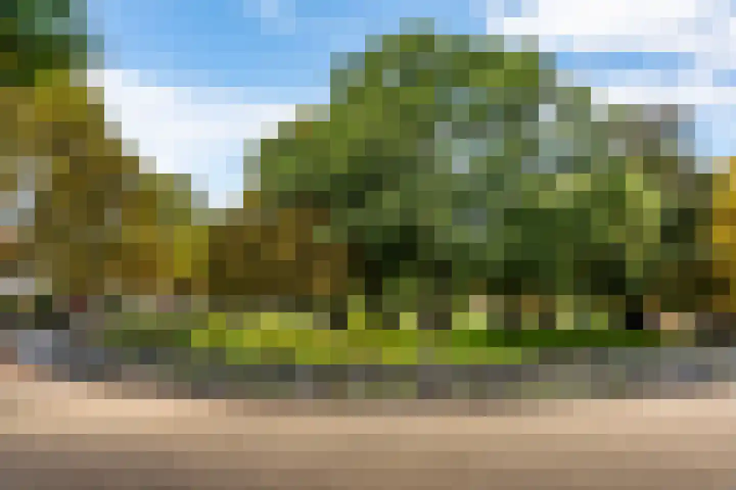 Vijverlaan 8 Bergen (NH) thumbnail 31