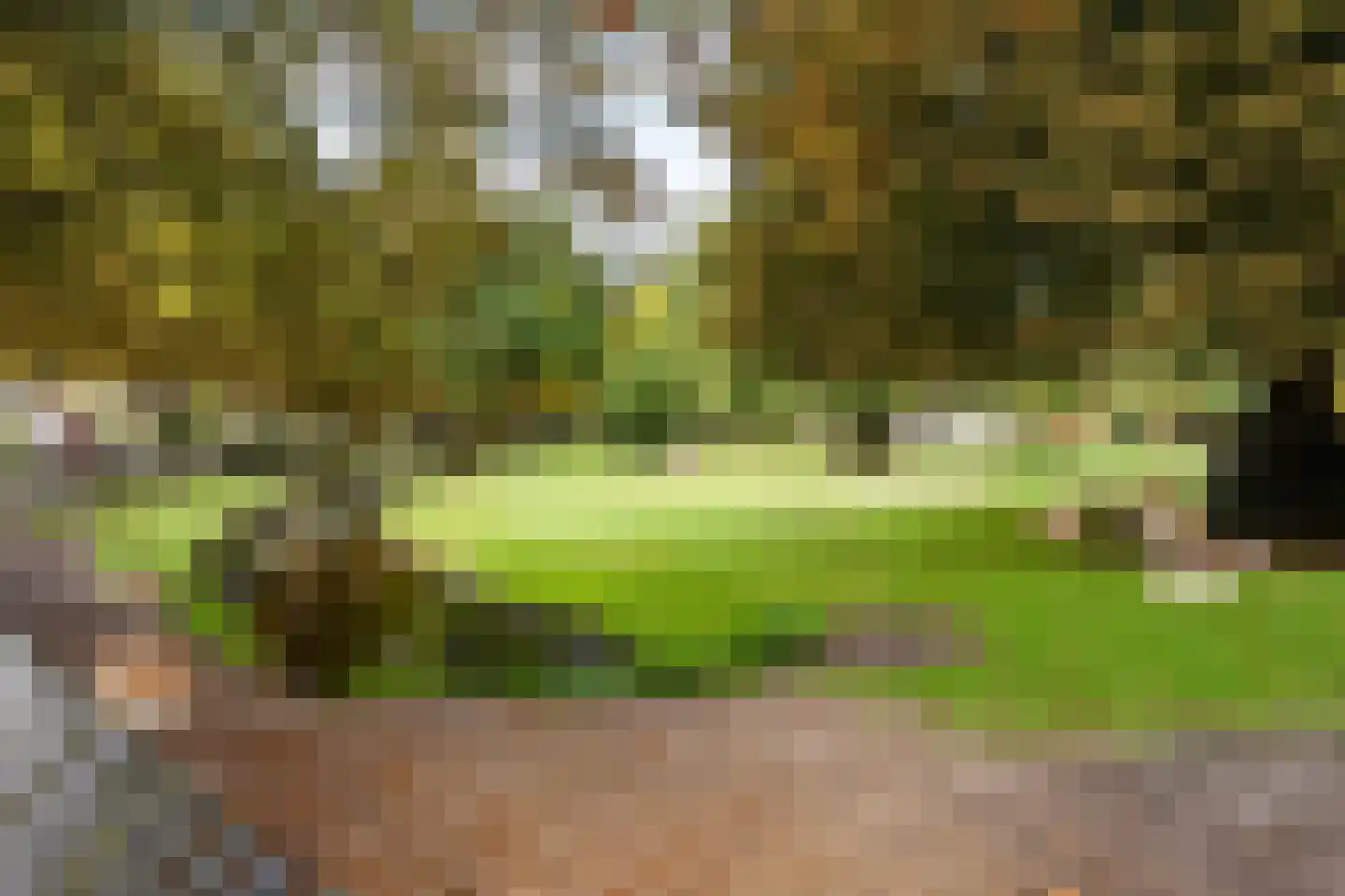 Vijverlaan 8 Bergen (NH) thumbnail 32