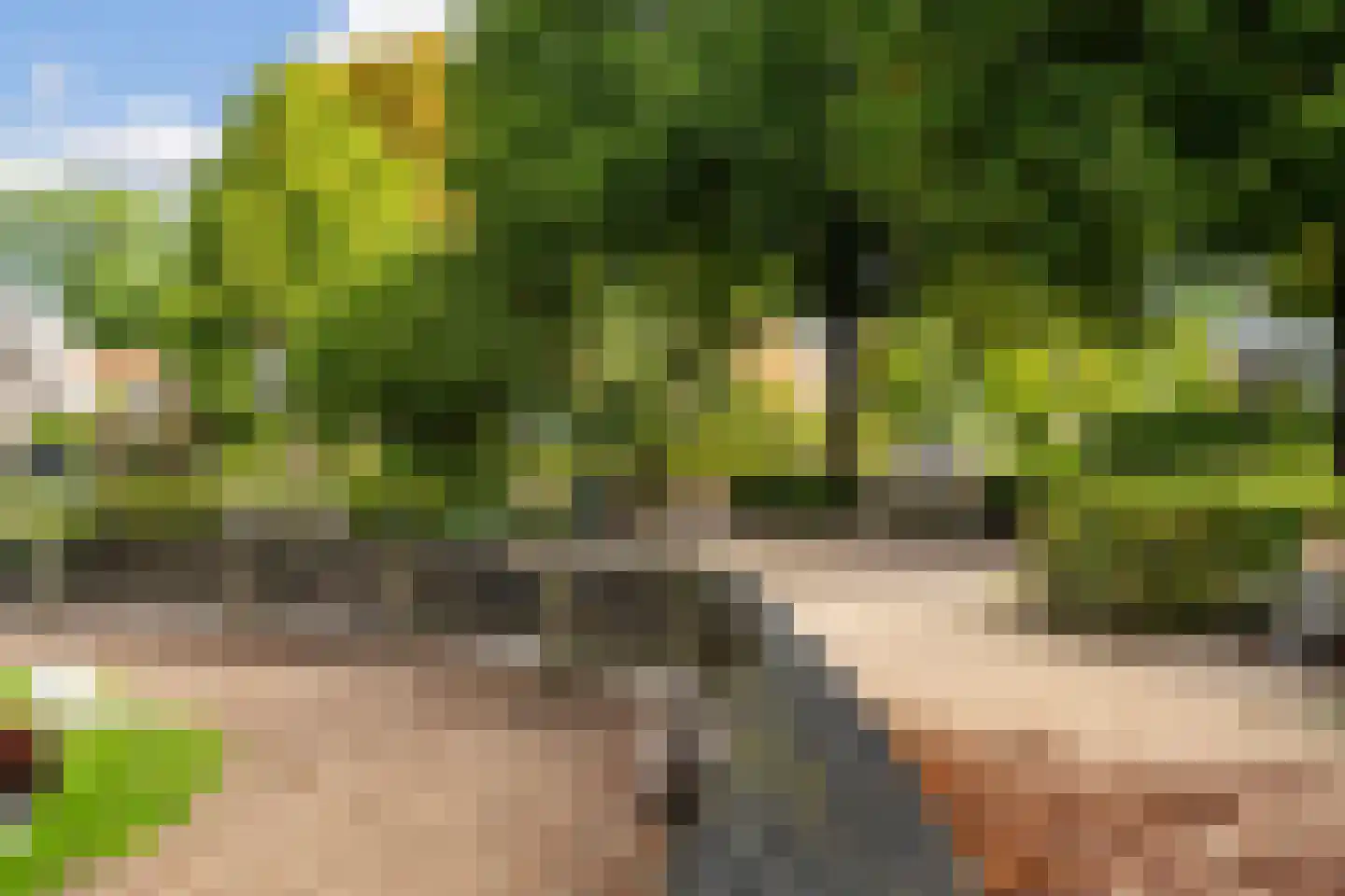 Vijverlaan 8 Bergen (NH) thumbnail 33