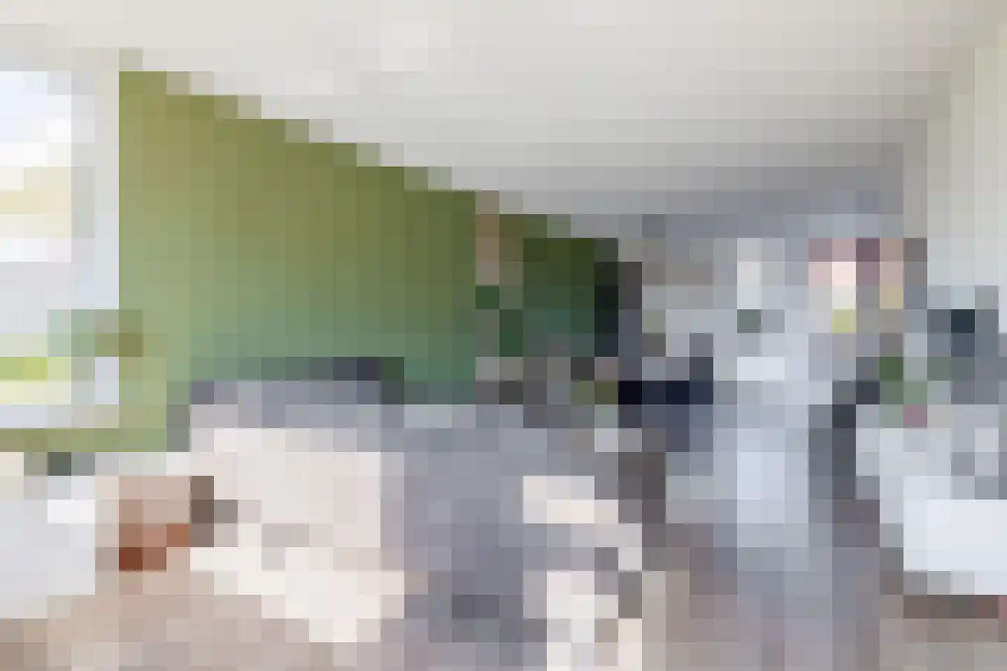 Vijverlaan 8 Oude Pekela foto 2