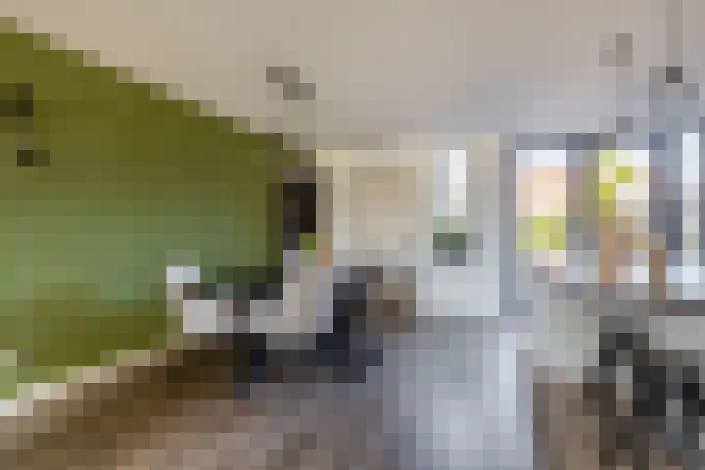 Vijverlaan 8 Oude Pekela thumbnail 22