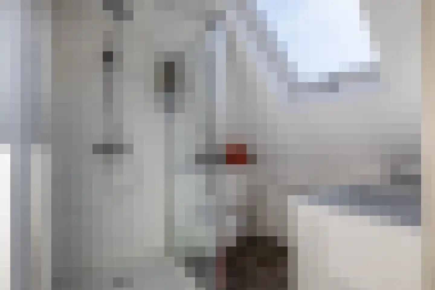 Vijverlaan 8 Oude Pekela thumbnail 31