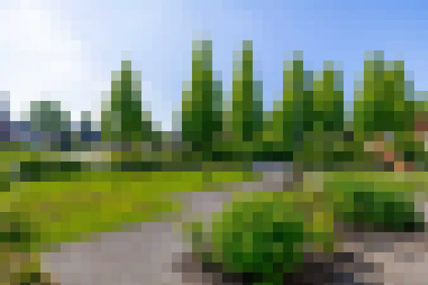 Vijverlaan 8 Oude Pekela thumbnail 48