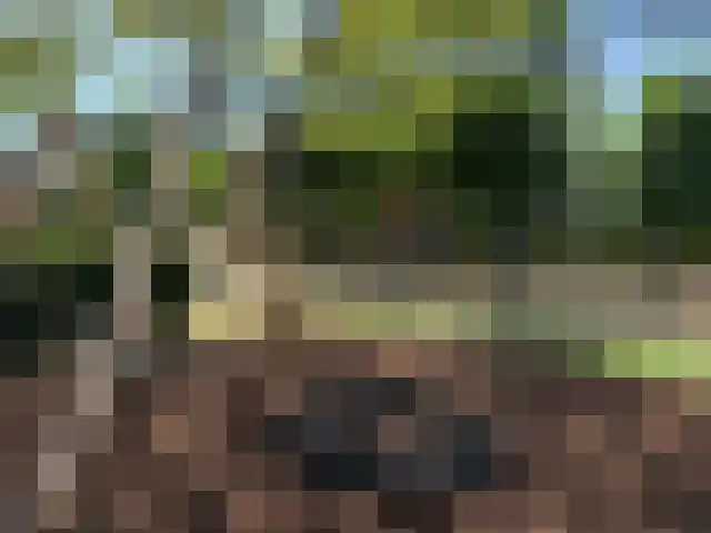 Vijverlaan 8 Vreeland thumbnail 29