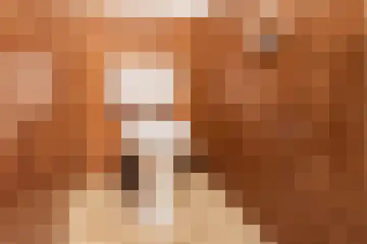 Vijverpad 14 Gendringen thumbnail 28