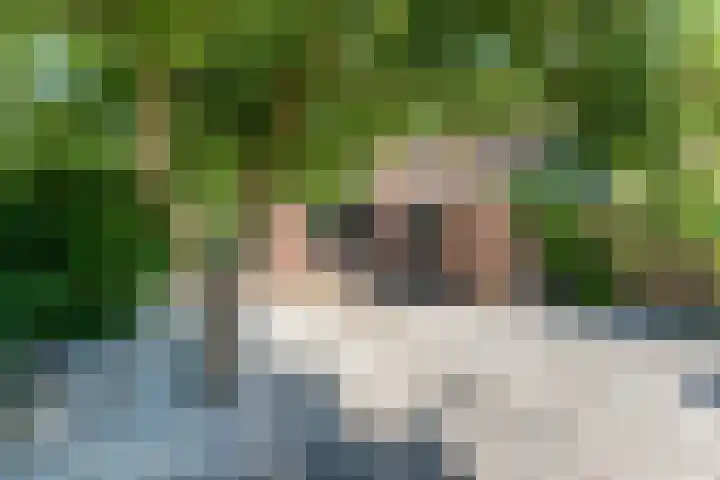 Vijverpad 14 Gendringen thumbnail 39
