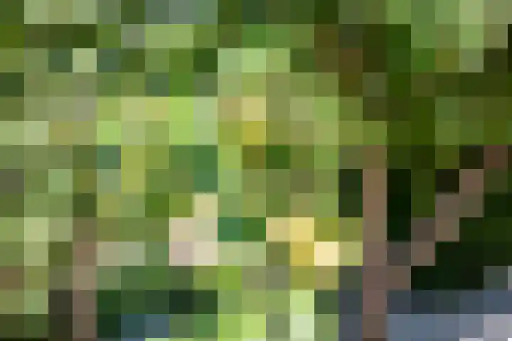 Vijverpad 14 Gendringen thumbnail 40