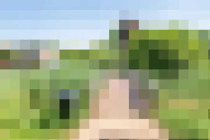 Vijverpad 14 Gendringen thumbnail 42