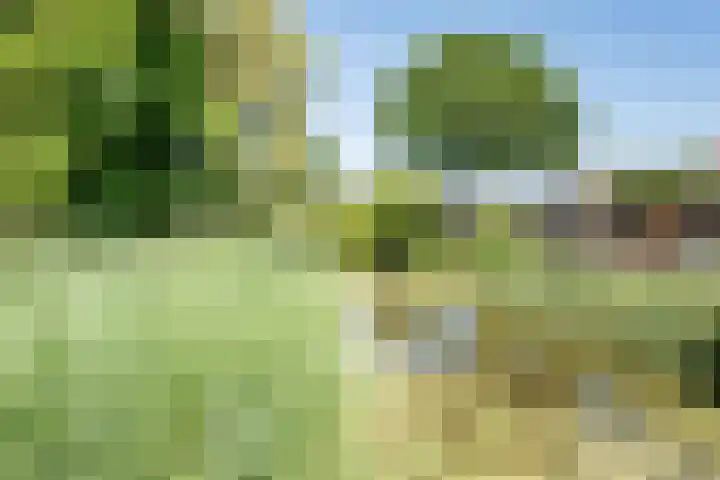 Vijverpad 14 Gendringen thumbnail 43