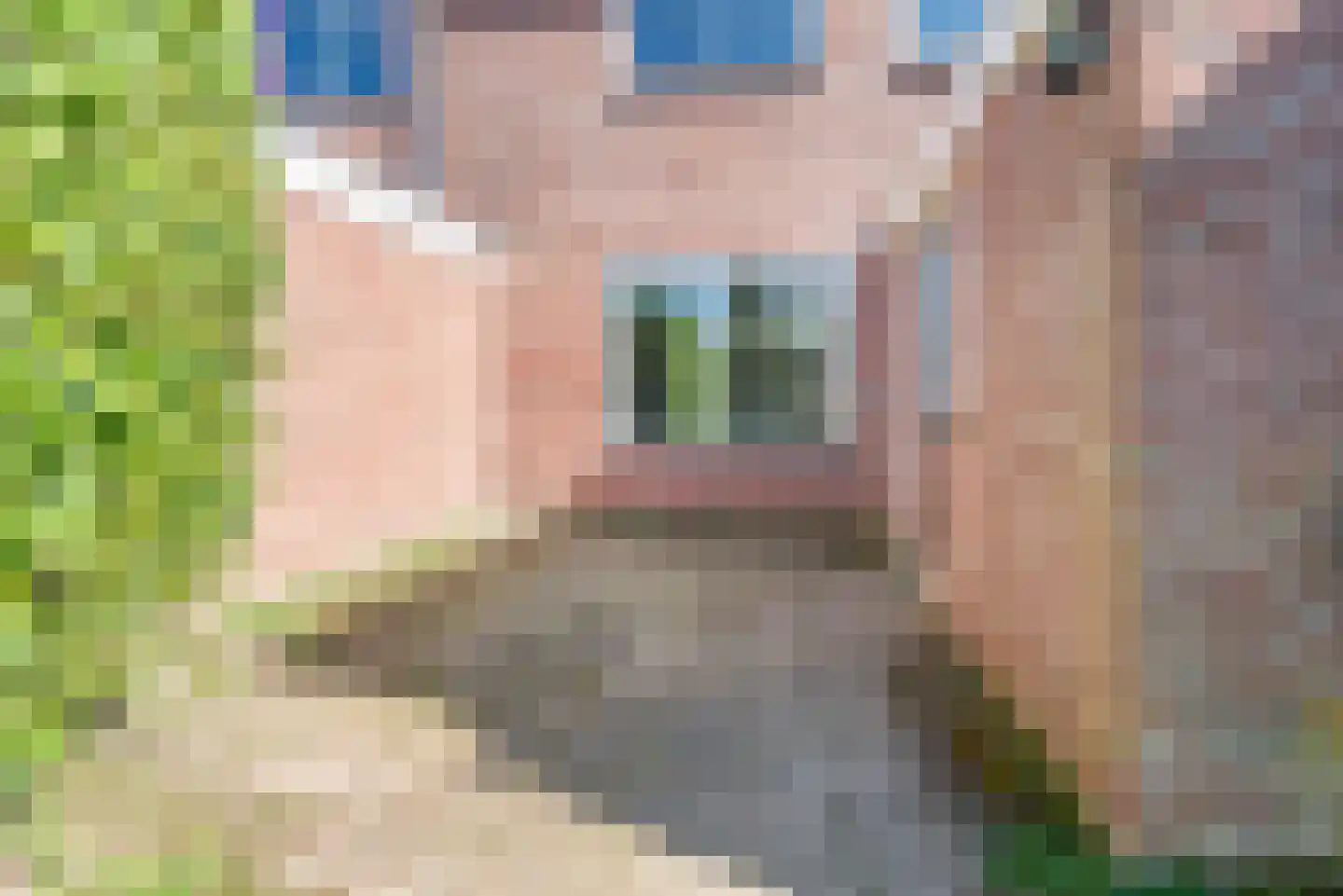 Vijverpad 22 Gendringen thumbnail 35