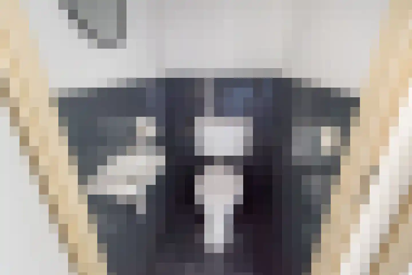 Vijverpad 22 Gendringen thumbnail 8