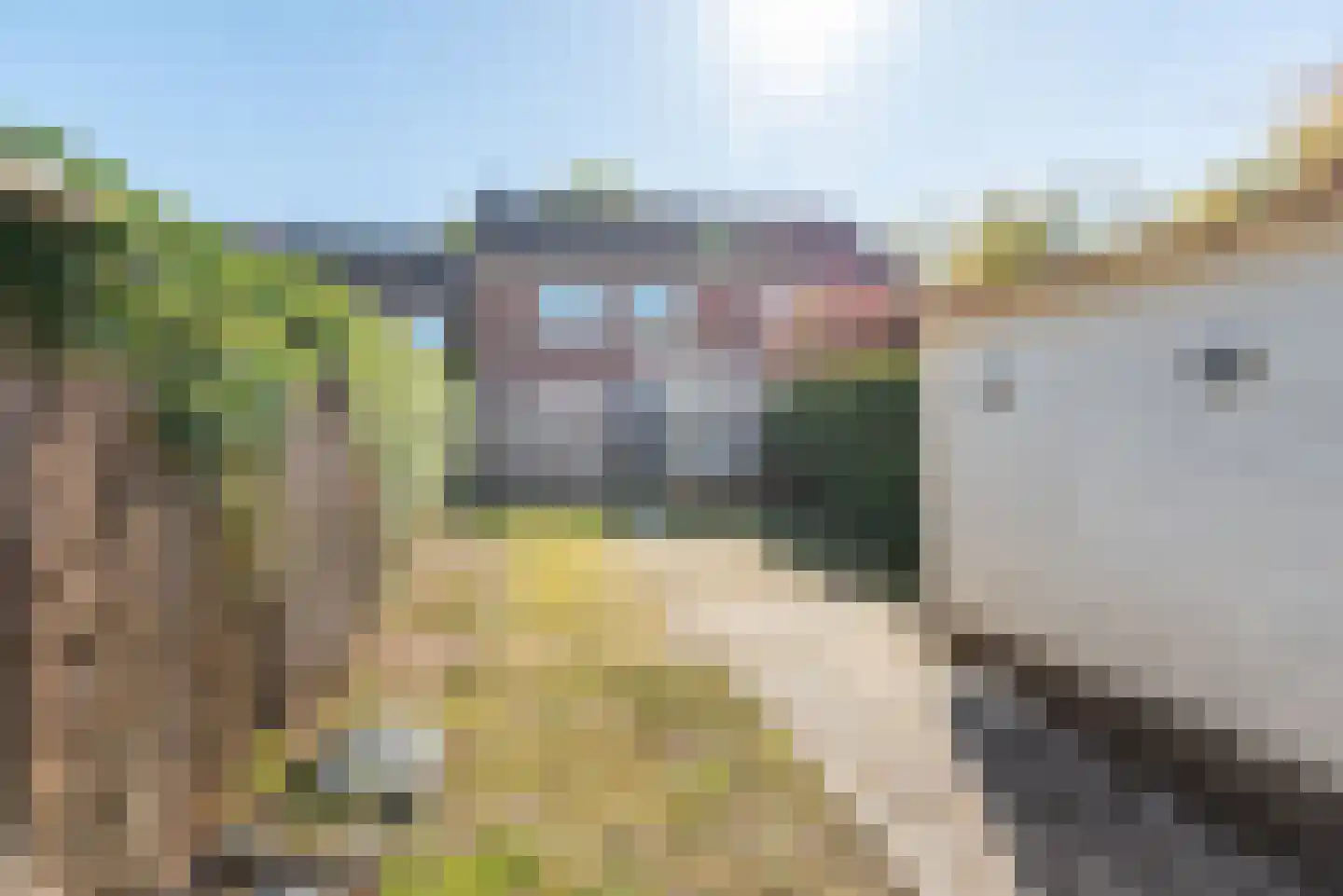 Vijverpad 30 Gendringen thumbnail 4