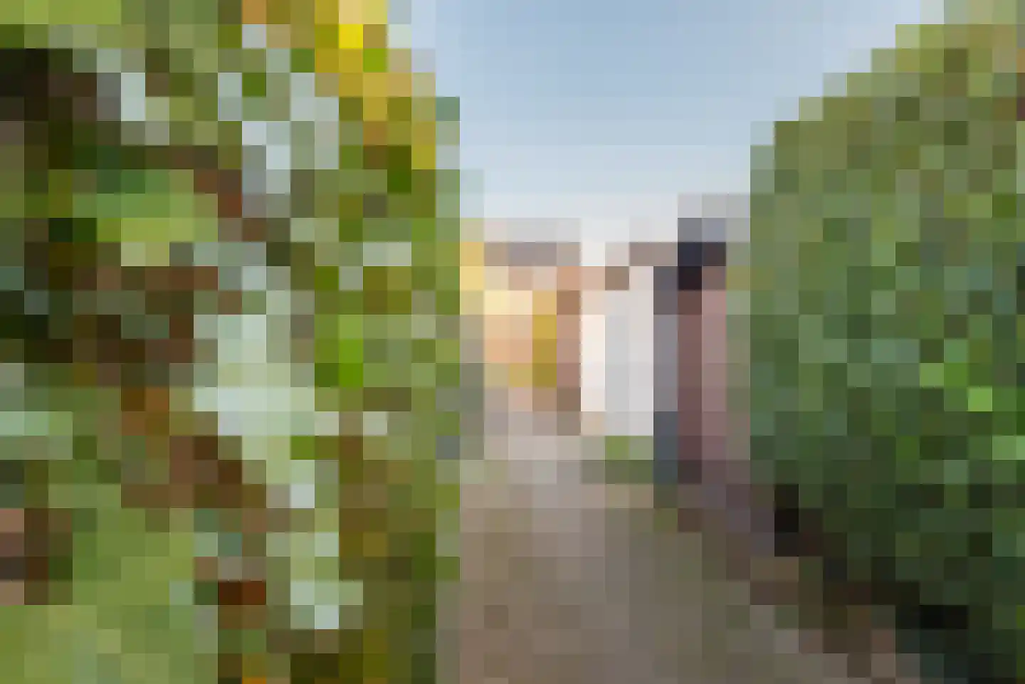 Vijverpad 30 Gendringen thumbnail 41
