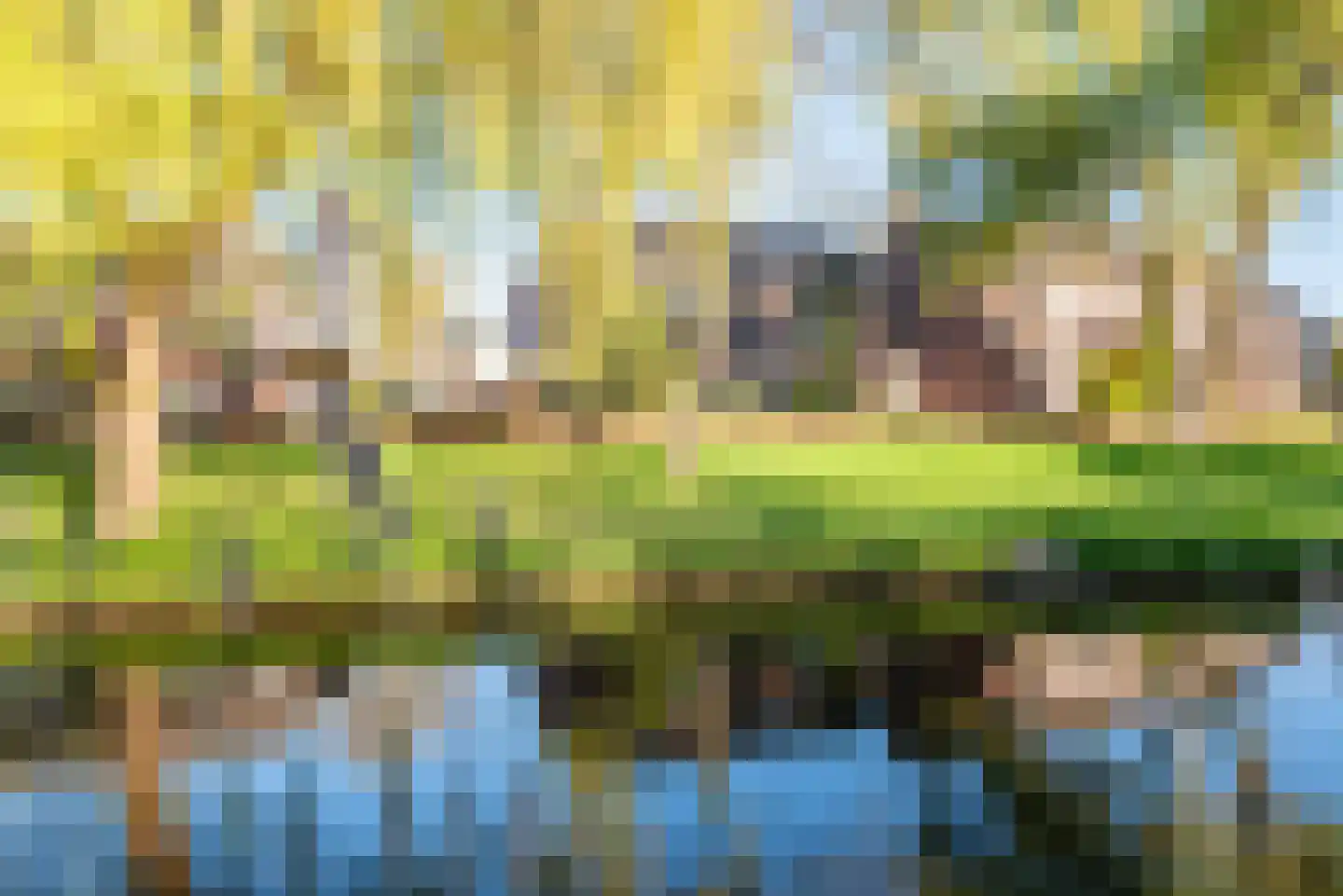 Vijverpad 30 Gendringen thumbnail 43