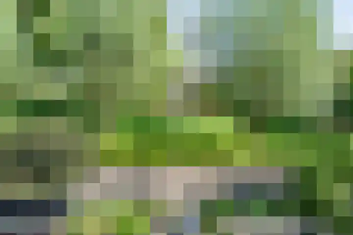 Vijverpad 44 Gendringen thumbnail 21