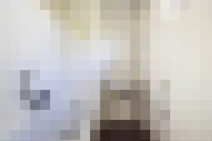 Vijverpad 44 Gendringen thumbnail 23