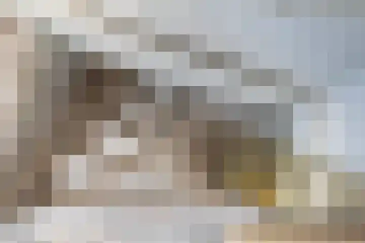 Vijverpad 44 Gendringen thumbnail 25