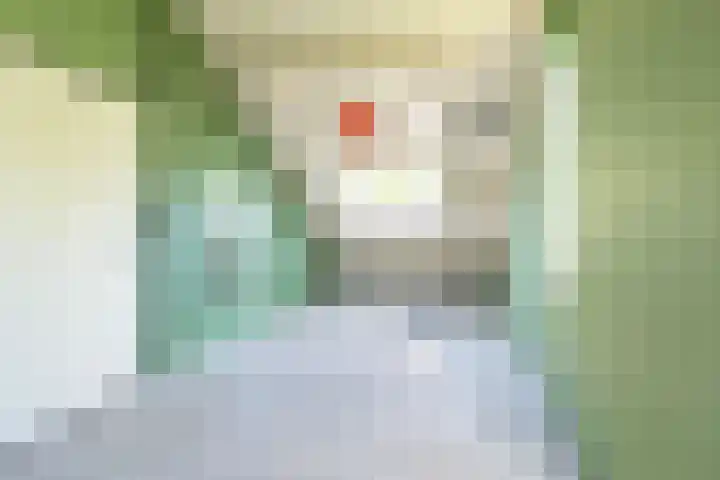 Vijverpad 44 Gendringen thumbnail 29