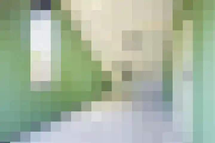 Vijverpad 44 Gendringen thumbnail 30