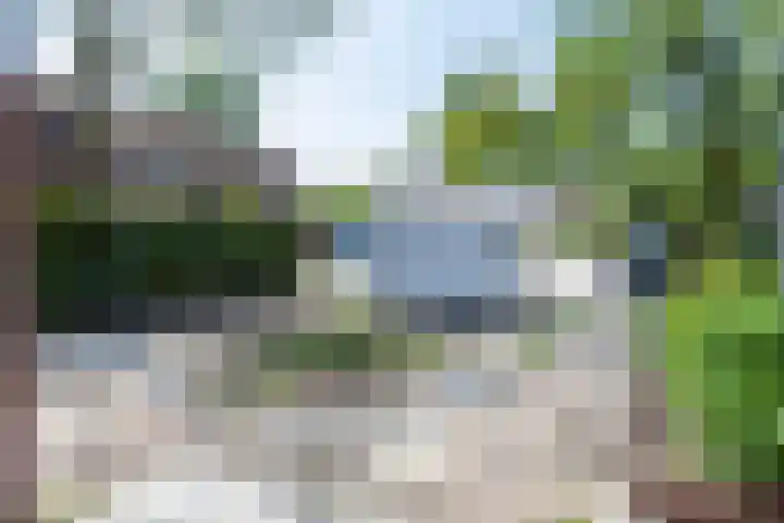 Vijverpad 44 Gendringen thumbnail 33