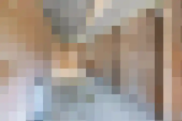 Vijverpad 44 Gendringen thumbnail 34