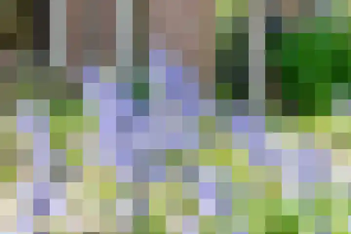Vijverpad 44 Gendringen thumbnail 35