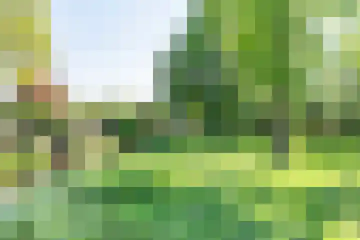 Vijverpad 44 Gendringen thumbnail 38