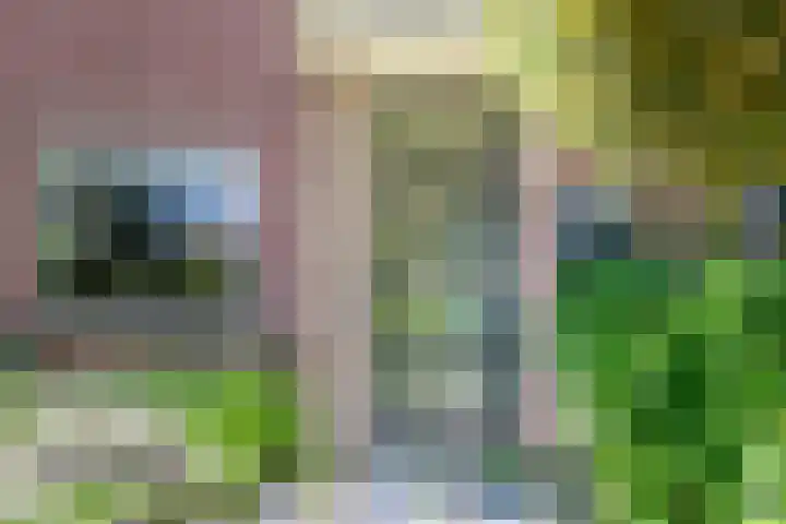 Vijverpad 44 Gendringen thumbnail 6