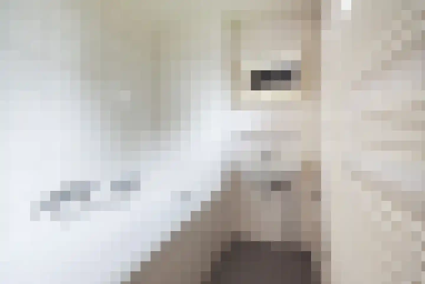 Vijverpad 8 Gendringen thumbnail 21