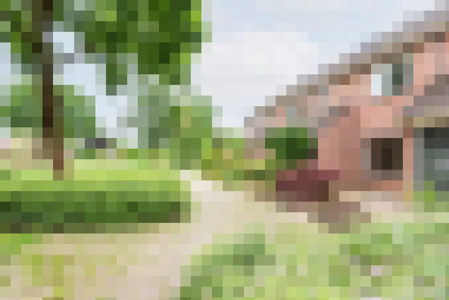 Vijverpad 8 Gendringen thumbnail 40
