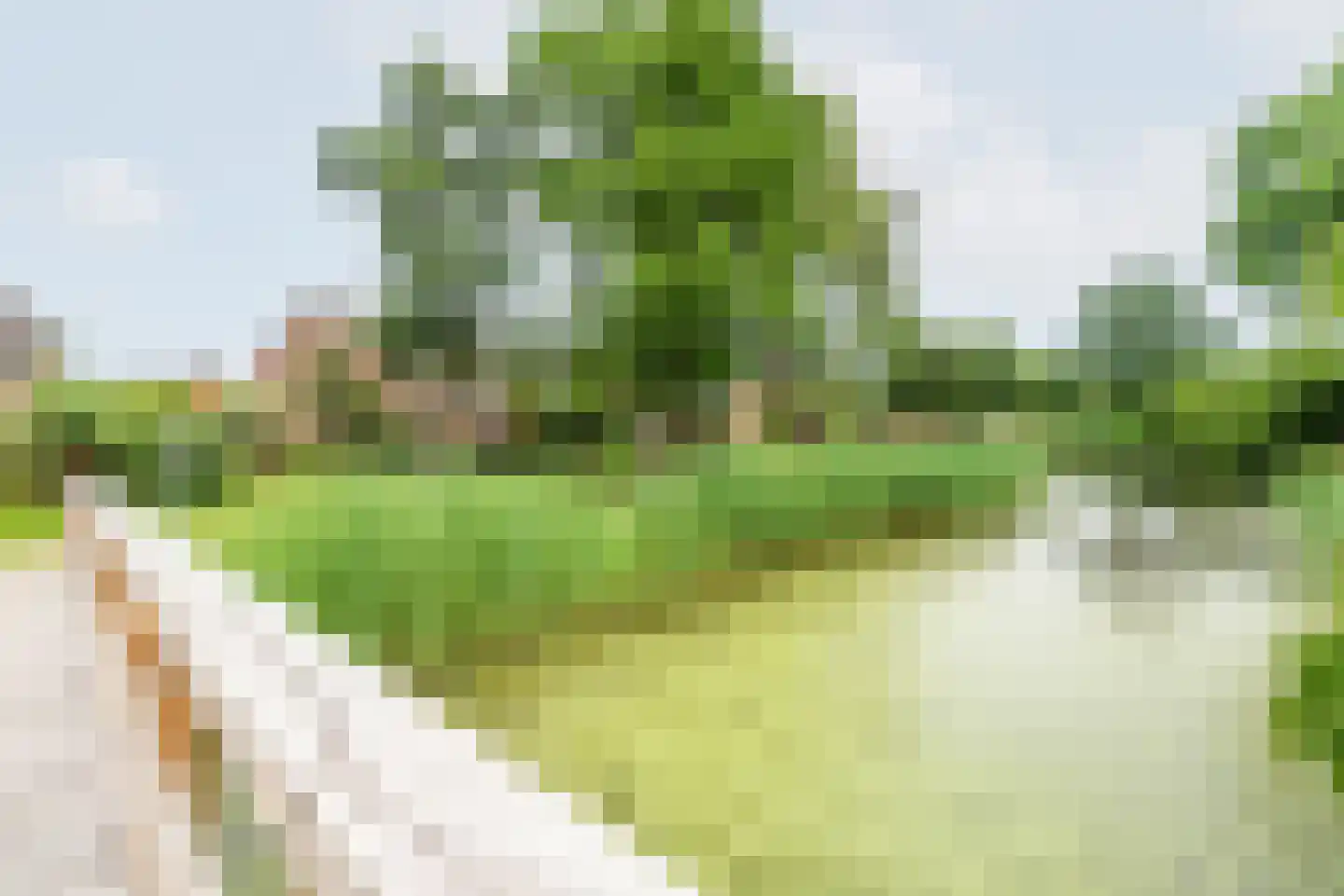 Vijverpad 8 Gendringen thumbnail 41