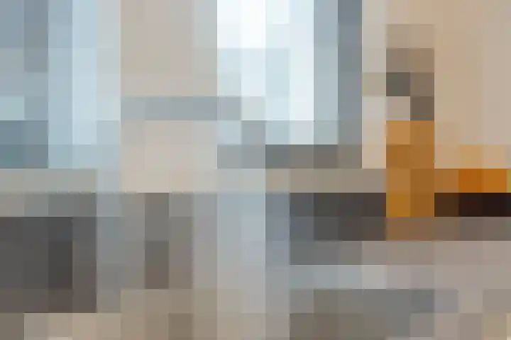 Vijverpark 19 Kuinre thumbnail 15