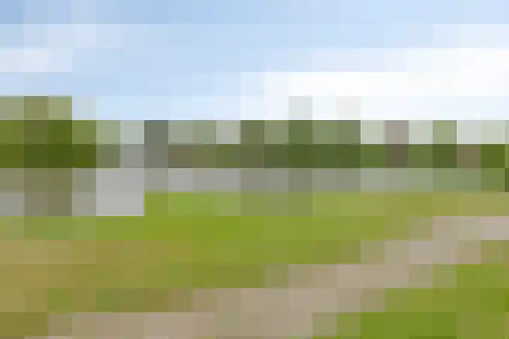 Vijverpark 31 Kuinre thumbnail 54