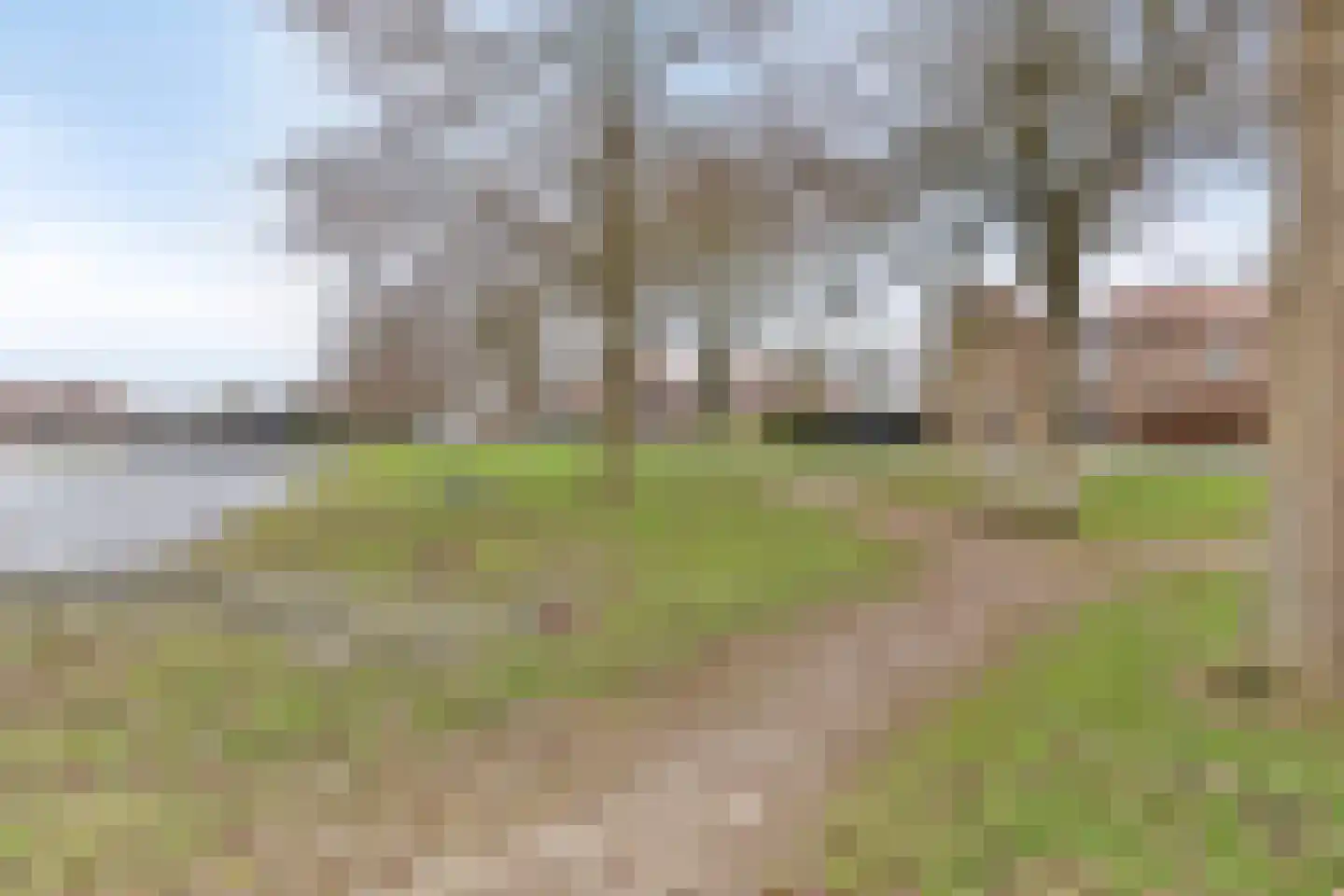 Vijverpark 40 Kuinre thumbnail 34