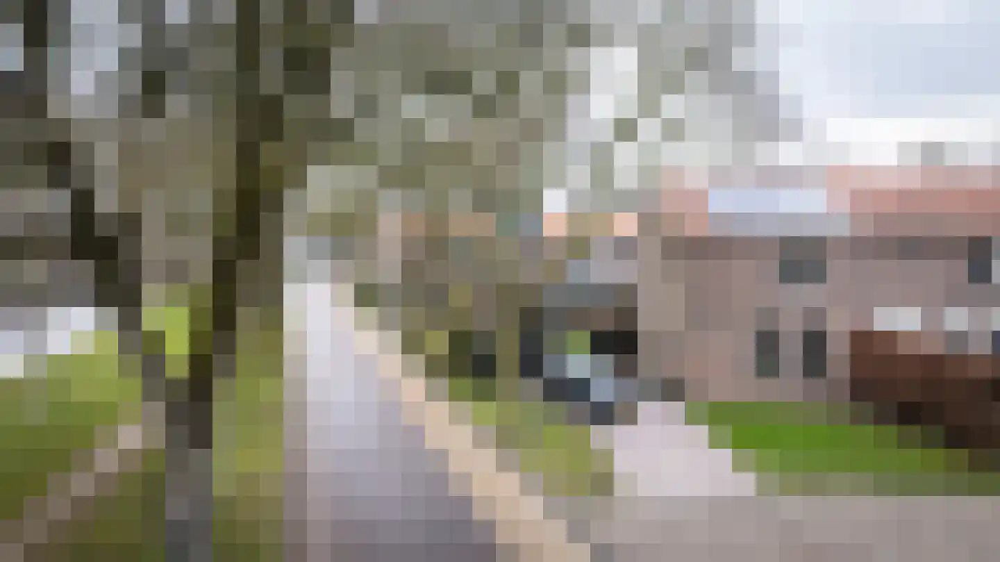 Vijverpark 40 Kuinre thumbnail 35