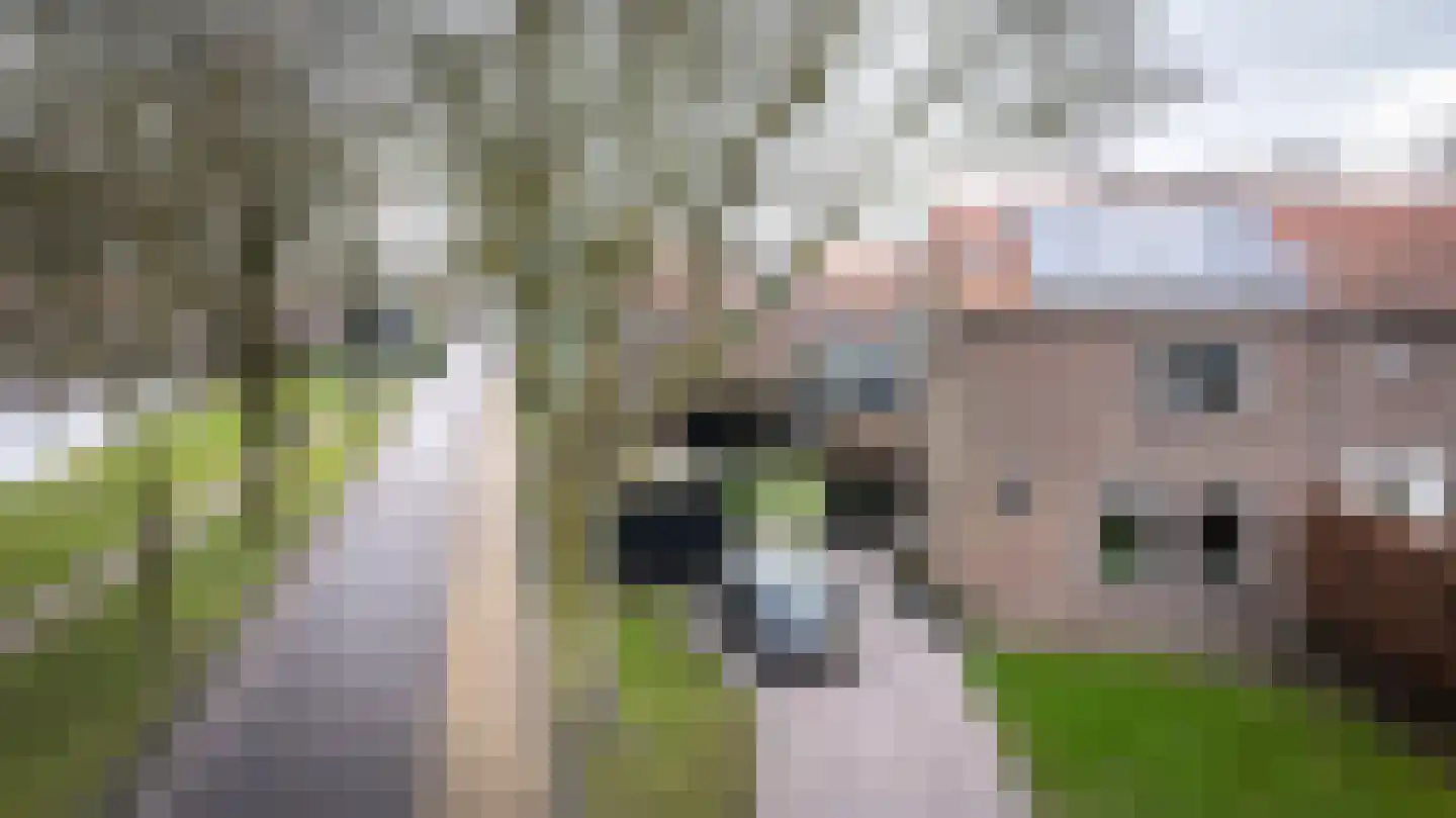 Vijverpark 40 Kuinre thumbnail 37